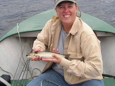 brooktrout