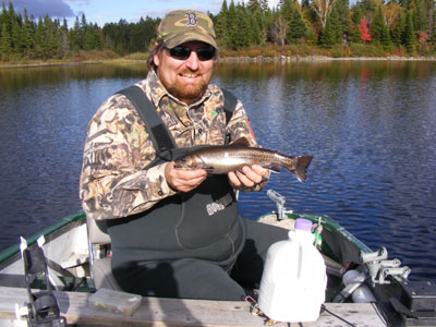 trout