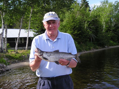 whitefishing