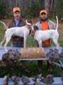 bird-huntingcamp