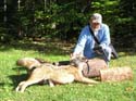 coyotehunting