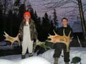mooseshedantlers