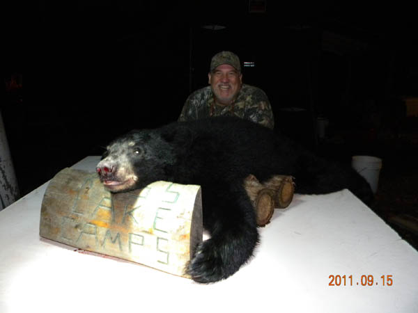 Bear