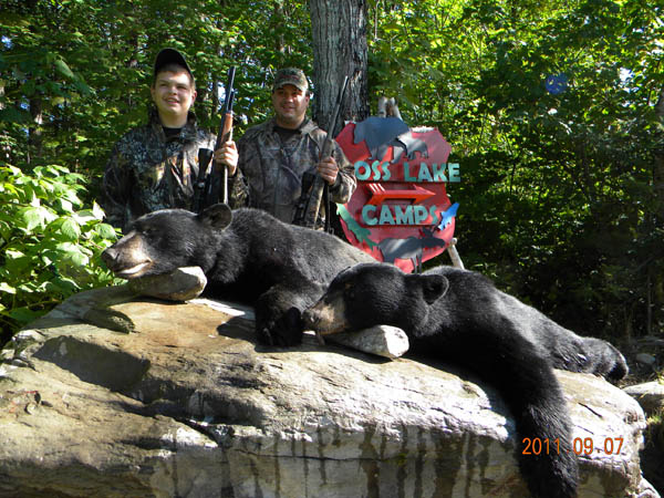 Bear