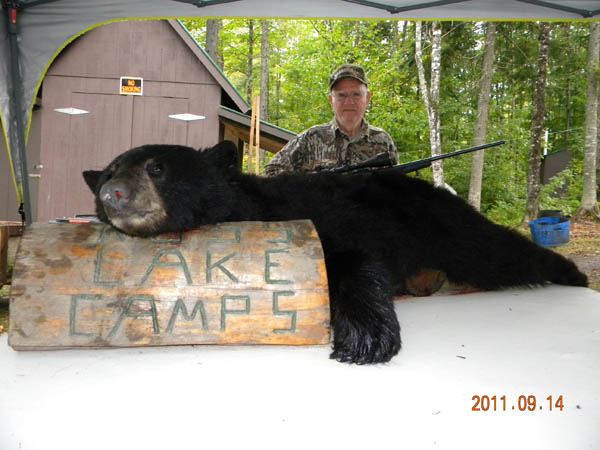 Bear