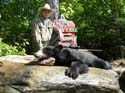 Guided Maine Black B#3FC434