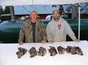 Maine Grouse Hunting (17)