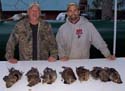 Maine Grouse Hunting (22)