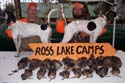 Maine Grouse Hunting
