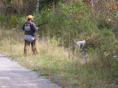 birddog