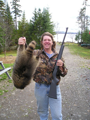 racoon