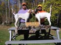 Maine bird hunting, upland bird hunts, small game hunting at Ross Lake Camps, North Maine Woods