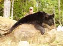 maineblackbear58