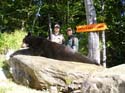 mainehunting