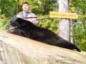 rosslakebears