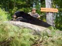 summer-hunting