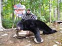Guided Maine Black B#1A87E5