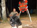 Maine Black Bear Hun#1A87EF