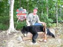 Maine Black Bear Hun#1A87F0