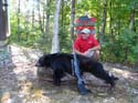 Maine Trophy Black Bears