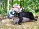 North Maine Woods Be#1A8808