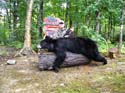 North Maine Woods Be#1A8809