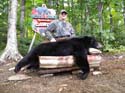 North Maine Woods Bear