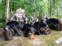 Trophy Maine Bear Hunts