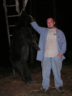 bearseason