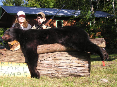 largeblackbear
