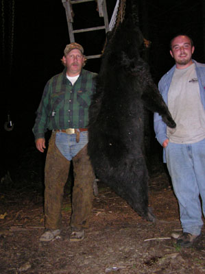 mainebears