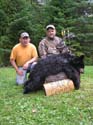 bears