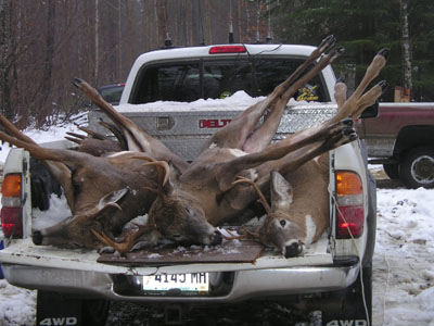bigdeerbucks