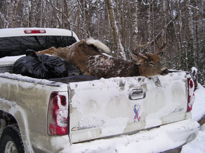muzzleloader