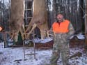 pairofdeer