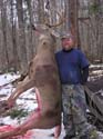 rosslakedeer