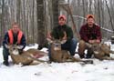 threedeer