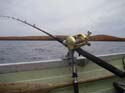 Maine Fishing Trips