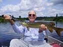Maine Muskie