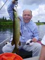 Maine Musky