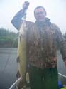 Registerd Maine fish#1A891A