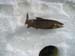 North Maine Woods Ice Fishing (2)
