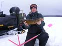 Guided Ice Fishing