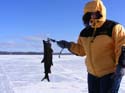 Native Maine Trout I#1A884D