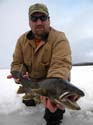 New England Ice Fish#1A884E