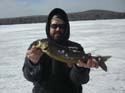 North Maine Woods wi#1A885F