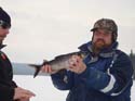 Ice Fishing Maine Whitefish