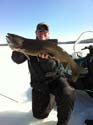 Maine Lake Trout Ice#3FC47C