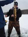 New England Ice Fish#3FC480