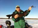 Trophy Maine Lake Trout